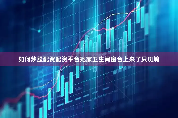 如何炒股配资配资平台她家卫生间窗台上来了只斑鸠