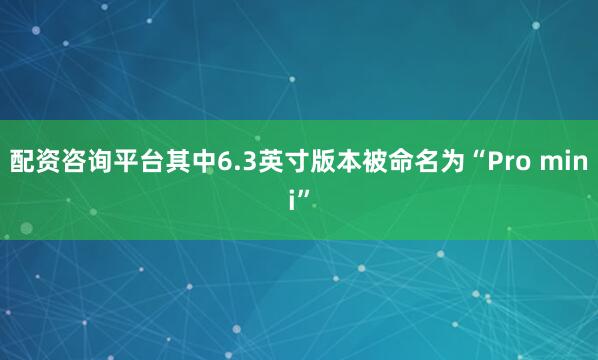 配资咨询平台其中6.3英寸版本被命名为“Pro mini”